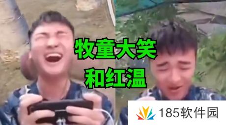 牧童红温大笑是什么梗网络用语-牧童红温大笑梗意思及出处分享