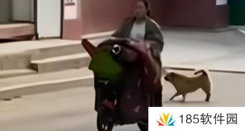 网络用语你个logo是什么梗