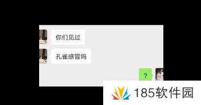 网络用语孔雀感冒是什么梗