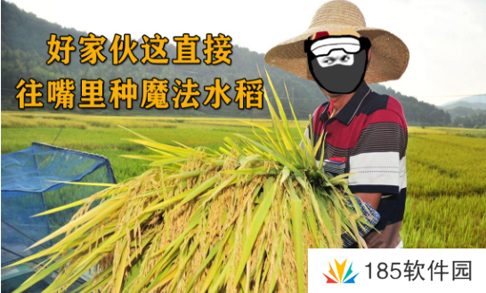 网络用语往嘴里种水稻是什么梗