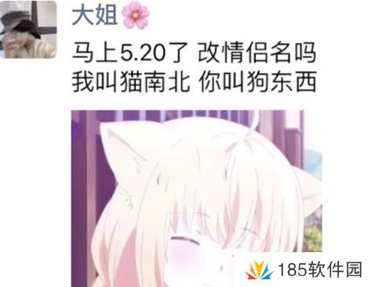 网络用语猫南北狗东西是什么梗