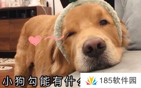 网络用语狗勾能有什么坏心思呢是什么梗