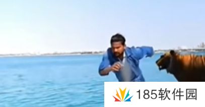 《抖音》印度队长是什么梗