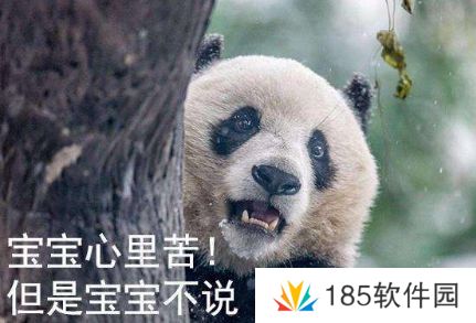 网络用语宝宝心里苦但宝宝不说是什么梗
