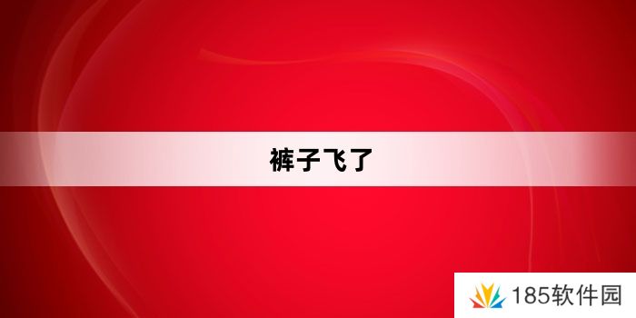 网络用语裤子飞了是什么梗