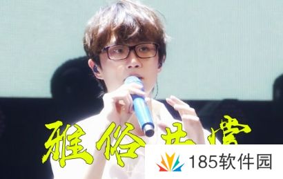 网络用语十年许嵩雅俗共赏是什么梗