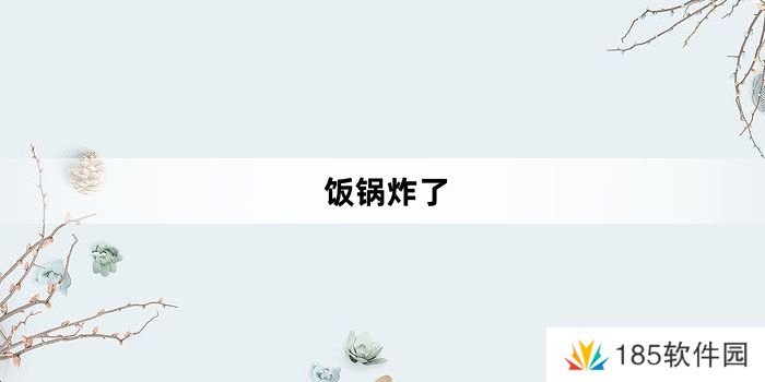 网络用语饭锅炸了是什么梗