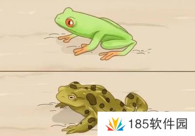 网络用语癞**睡青蛙是什么梗
