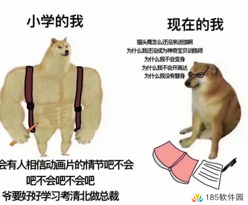 网络用语内容过于真实引起不适是什么梗