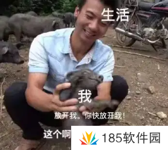 网络用语漂亮警告是什么梗