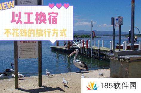 网络用语换宿旅行是什么梗