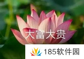 网络用语花开富贵是什么梗