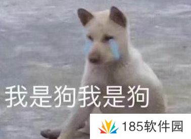 cwm小国际是什么梗网络用语-cwm小国际梗意思及出处分享