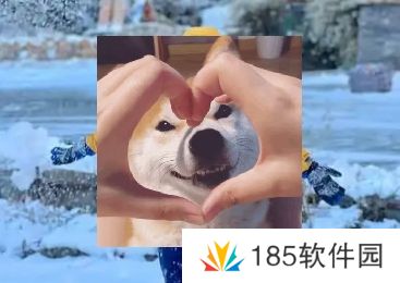 南方沙糖桔是什么梗网络用语-南方沙糖桔梗意思及出处分享