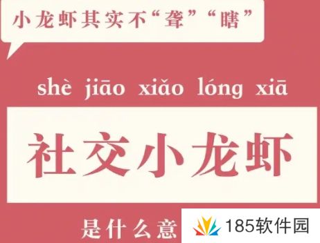 社交小聋瞎是什么梗网络用语-社交小聋瞎梗意思及出处分享