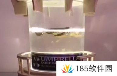 网络用语刑部侍螂是什么梗