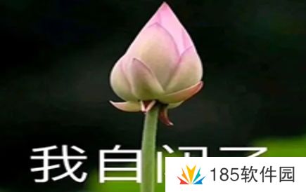 网络用语开始自闭是什么梗