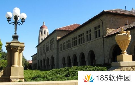 网络用语斯坦福鸭子综合征是什么梗