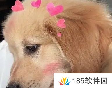 网络用语今天吃了一碗特别的面是什么梗