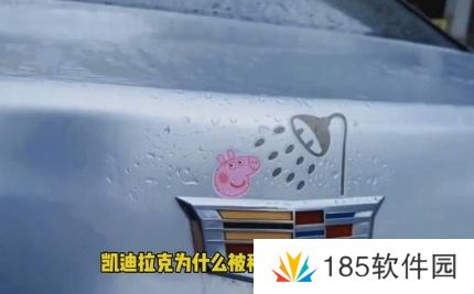 网络用语凯迪拉克洗浴王是什么梗