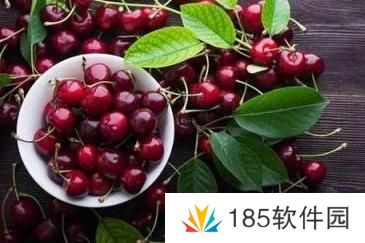 网络用语车厘子自由是什么梗