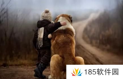 上了贼船网络用语-就跟贼走是什么梗-上了贼船-就跟贼走梗意思及出处分享