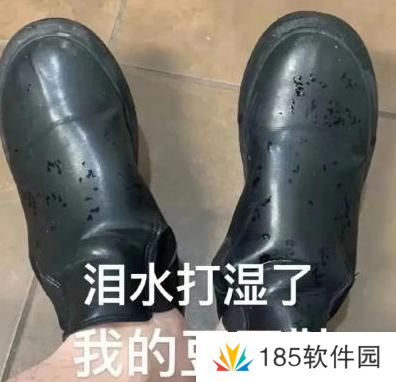 网络用语泪水打湿我的豆豆鞋是什么梗