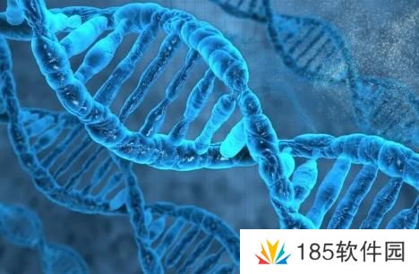 网络用语我的dna动了是什么梗