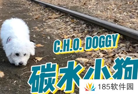 网络用语碳水小狗是什么梗